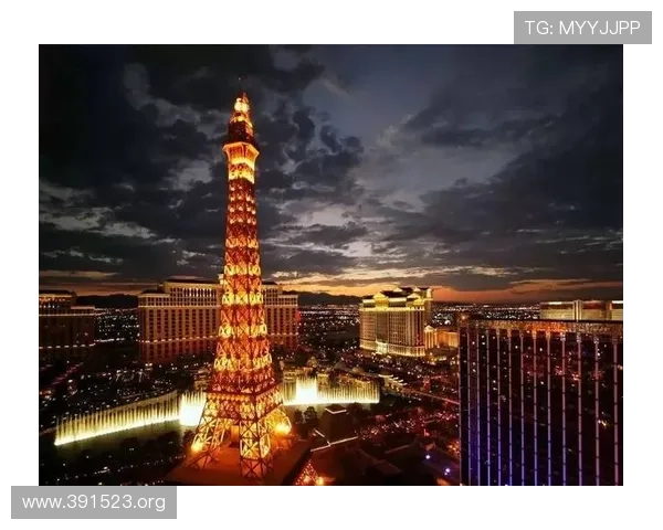 全面解析拉斯维加斯娱乐软件的最新发展与应用前景